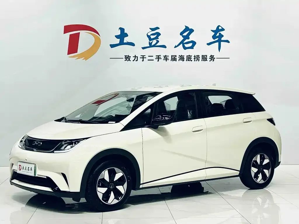 2025 BYD Dolphin 420km Freedom