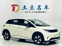 2025 BYD Dolphin 420km Freedom — фото 3
