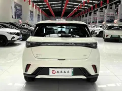 2025 BYD Dolphin 420km Freedom — фото 5
