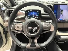 2025 BYD Dolphin 420km Freedom — фото 8