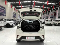 2025 BYD Dolphin 420km Freedom — фото 16