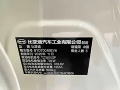 2025 BYD Dolphin 420km Freedom — фото 19