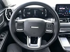 2023 Haval H5 2.0T AT 4WD LinkedIn Gasoline — фото 9