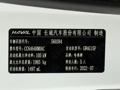 2021 Haval H6 1.5T AT Guochao Urban, белый — фото 25