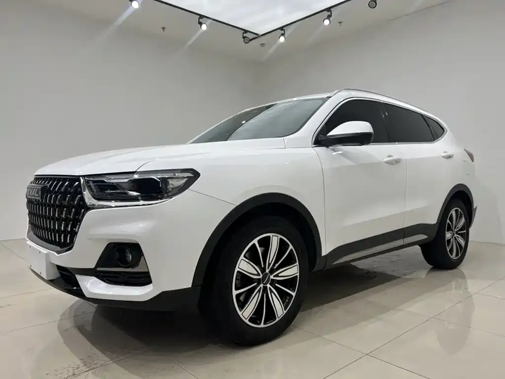 2023 Haval H6 1.5T AT Guochao Champion