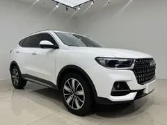 2023 Haval H6 1.5T AT Guochao Champion, белый — фото 9