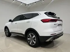 2023 Haval H6 1.5T AT Guochao Champion, белый — фото 11