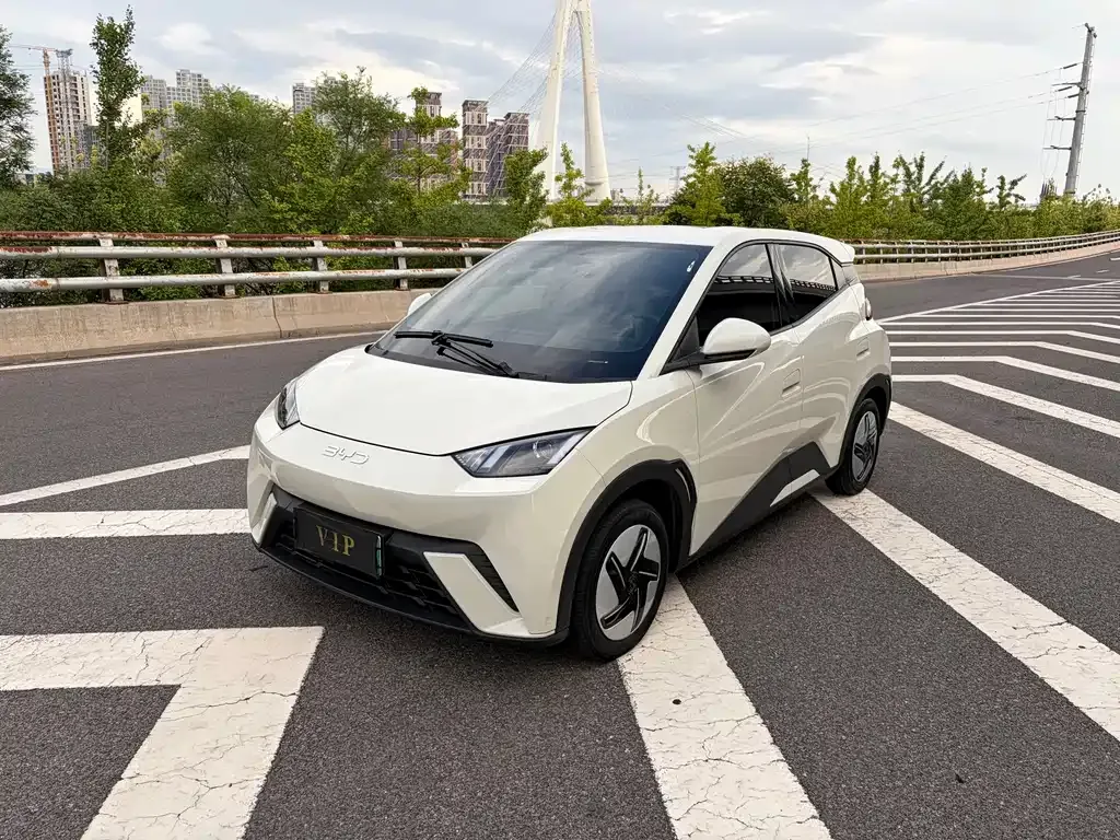 2023 BYD Seagull Vitality