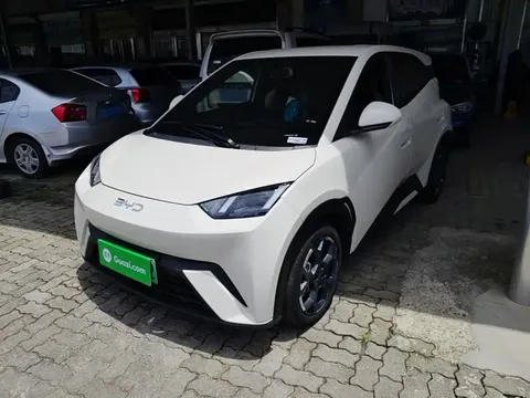 2025 BYD Seagull 305km Freedom