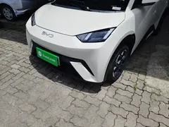 2025 BYD Seagull 305km Freedom, белый — фото 18