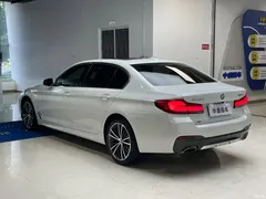 2022 BMW 5 Series 530Li xDrive M Sport Package — фото 22