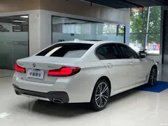 2022 BMW 5 Series 530Li xDrive M Sport Package — фото 24