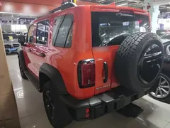 2021 Tank 300 Off-road 2.0T Conqueror — фото 23