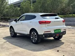 2019 Haval F5 1.5T VI, белый — фото 5