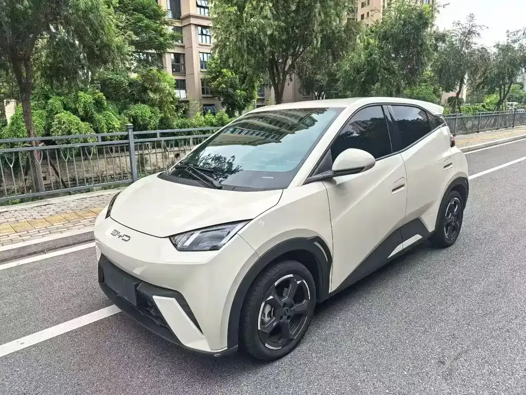 2023 BYD Seagull Flying