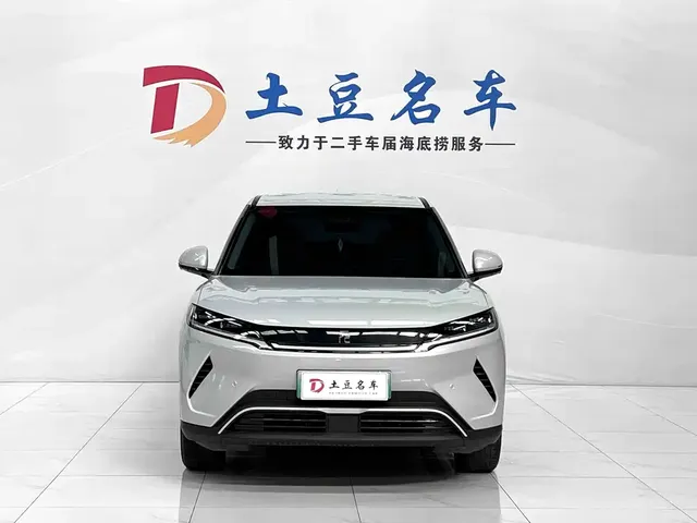 2025 BYD Yuan UP Smart Driving 401km Vitality