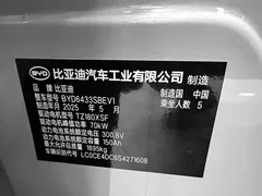 2025 BYD Yuan UP Smart Driving 401km Vitality, белый — фото 20