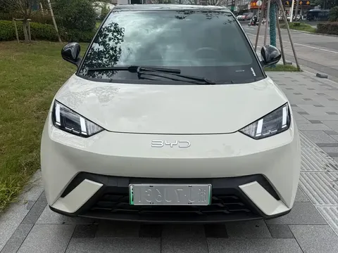 2025 BYD Seagull 305km Freedom