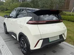 2025 BYD Seagull 305km Freedom, белый — фото 5