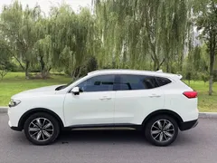 2023 Haval H6 1.5T AT, белый — фото 4