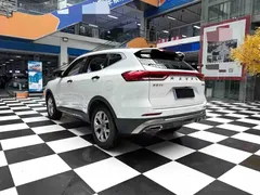 2021 Haval H6 1.5T AT, белый — фото 13
