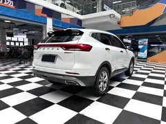 2021 Haval H6 1.5T AT, белый — фото 14