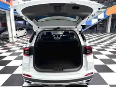2023 Chery Tiggo 5x 1.5T CVT Luxury, белый — фото 14