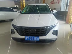 2021 Hyundai Tucson Tucson L 1.5T DCT LUX Premium — фото 2
