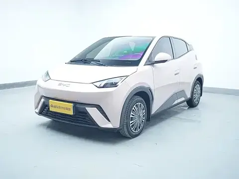 2025 BYD Seagull 305km Vitality