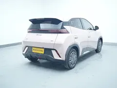 2025 BYD Seagull 305km Vitality — фото 10