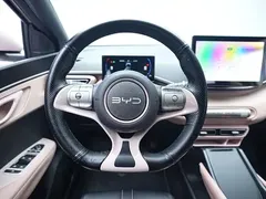 2025 BYD Seagull 305km Vitality — фото 12