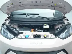 2025 BYD Seagull 305km Vitality — фото 14