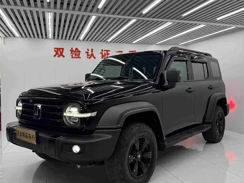 2021 Tank 300 2.0T