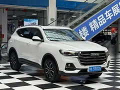2021 Haval H6 1.5T AT Guochao Urban, белый — фото 3