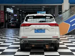 2021 Haval H6 1.5T AT Guochao Urban, белый — фото 14