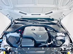 2023 BMW 3 Series 320Li M Sport Package, белый — фото 26