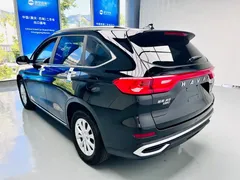 2021 Haval M6 Plus 1.5T DCT Luxury, чёрный — фото 8