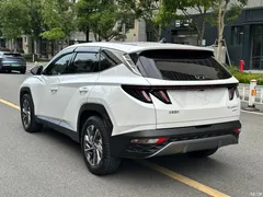 2023 Hyundai Tucson Tucson L 1.5T AT 2WD GLX Elite — фото 7