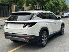2023 Hyundai Tucson Tucson L 1.5T AT 2WD GLX Elite — фото 9