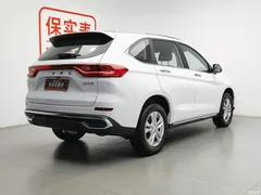 2021 Haval M6 PLUS 1.5T DCT Elite Intelligent Connected Model, белый — фото 2