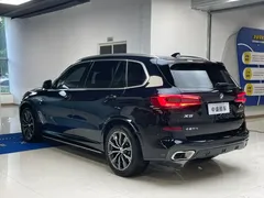 2022 BMW X5 modified xDrive 30Li exclusive M sports package — фото 28
