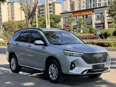 2023 Haval M6 Plus 1.5T MT Luxury — фото 3