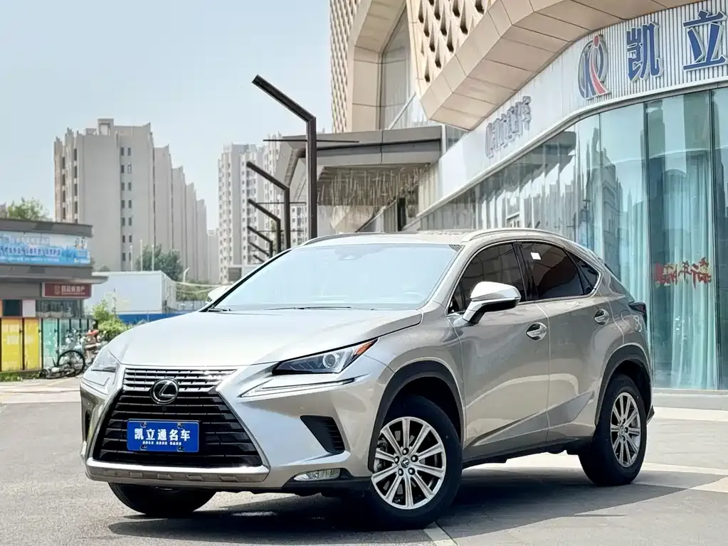 2020 Lexus NX 200 Fashion VI