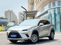 2020 Lexus NX 200 Fashion VI — фото 1