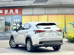 2020 Lexus NX 200 Fashion VI — фото 3