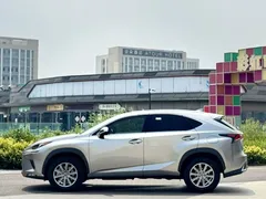 2020 Lexus NX 200 Fashion VI — фото 4