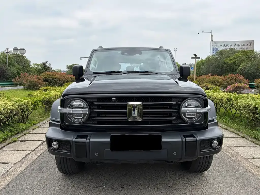 2021 Tank 300 2.0T