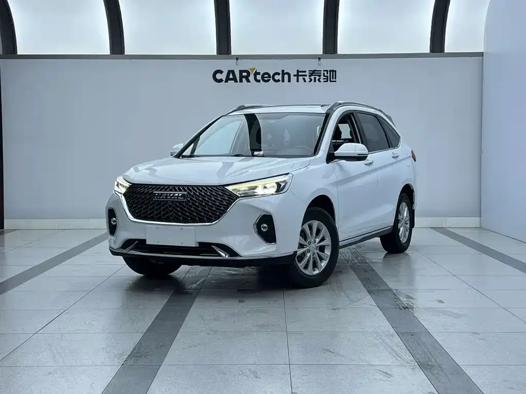 2021 Haval M6 PLUS 1.5T DCT Liu Yan