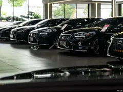 2021 Lexus LS 500h Executive — фото 23