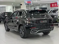2023 Hongqi HS5 2.0T Qixiang Pro, чёрный — фото 9